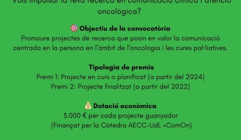 Flyer Premis Càtedra