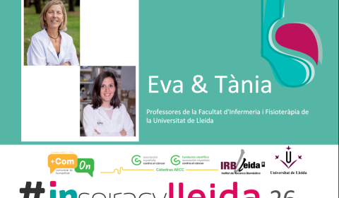 Captura de pantalla 2026-02-19 203425