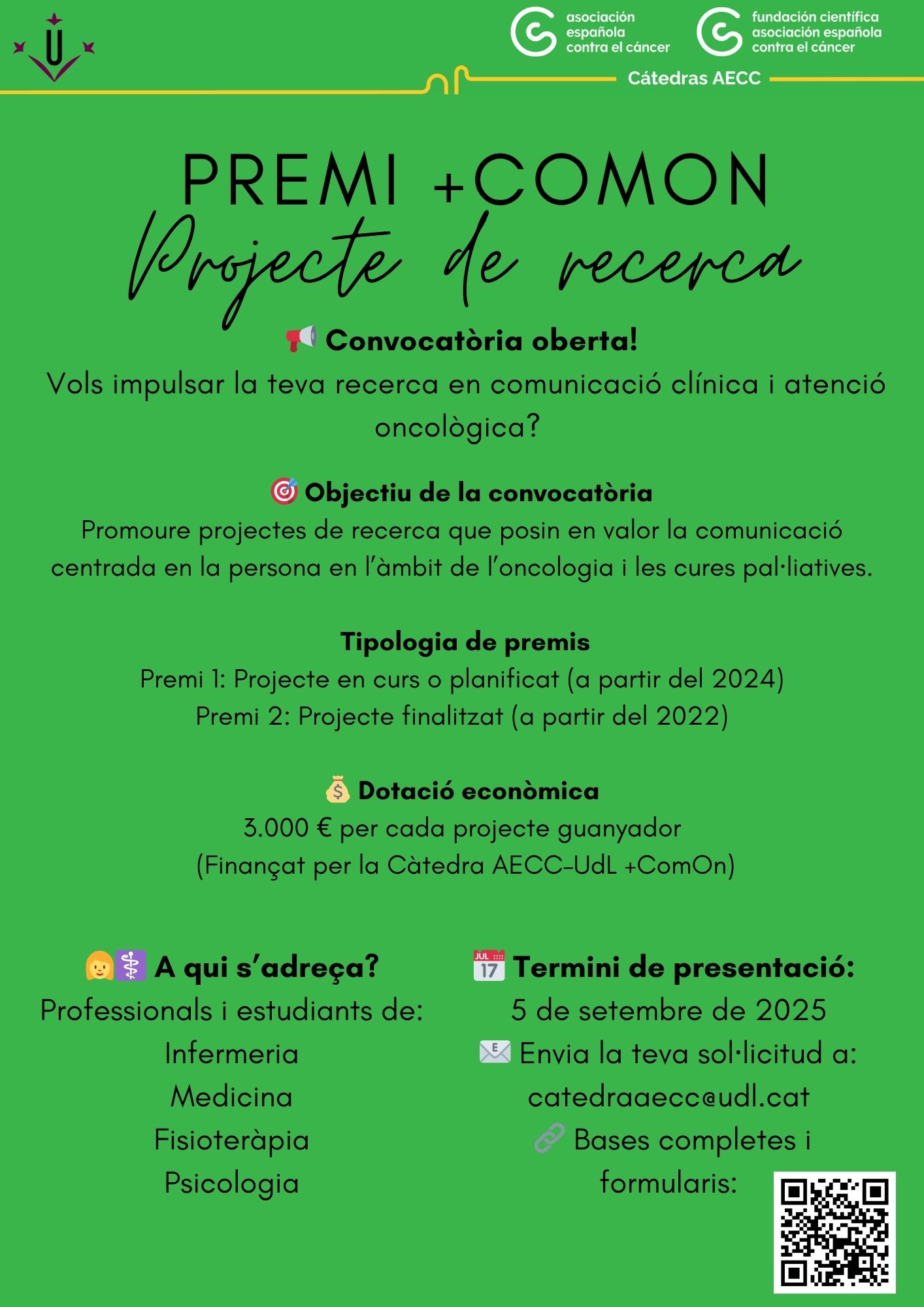 Flyer Premis Càtedra